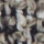 V475 - Vogue V475 Slate
