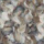 V485 - Vogue V485 Fossil